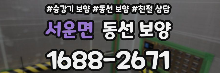 서운면 동선 보양