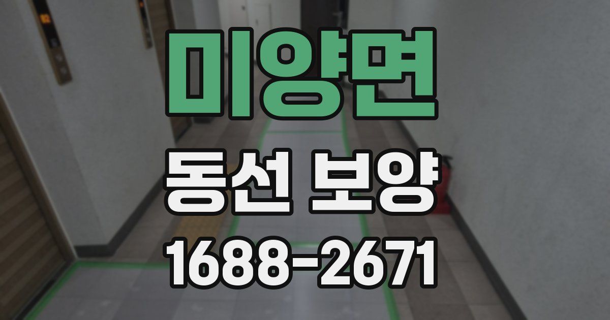 미양면 동선 보양