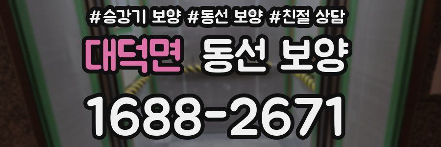 대덕면 동선 보양