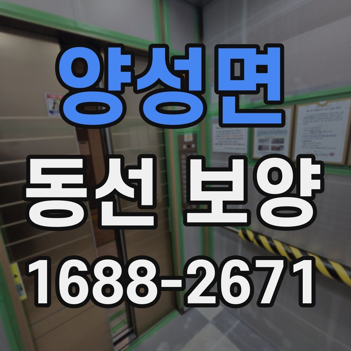 양성면 동선 보양 업체를 볼 때 확인할 기준
