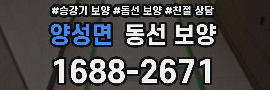 양성면 동선 보양