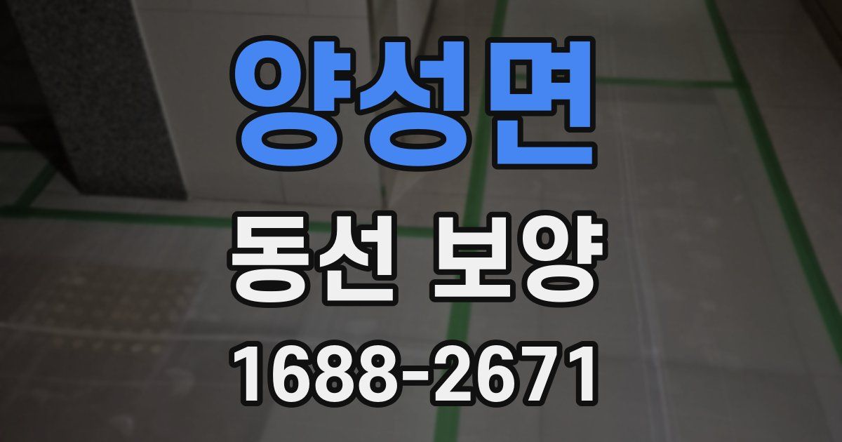 양성면 동선 보양