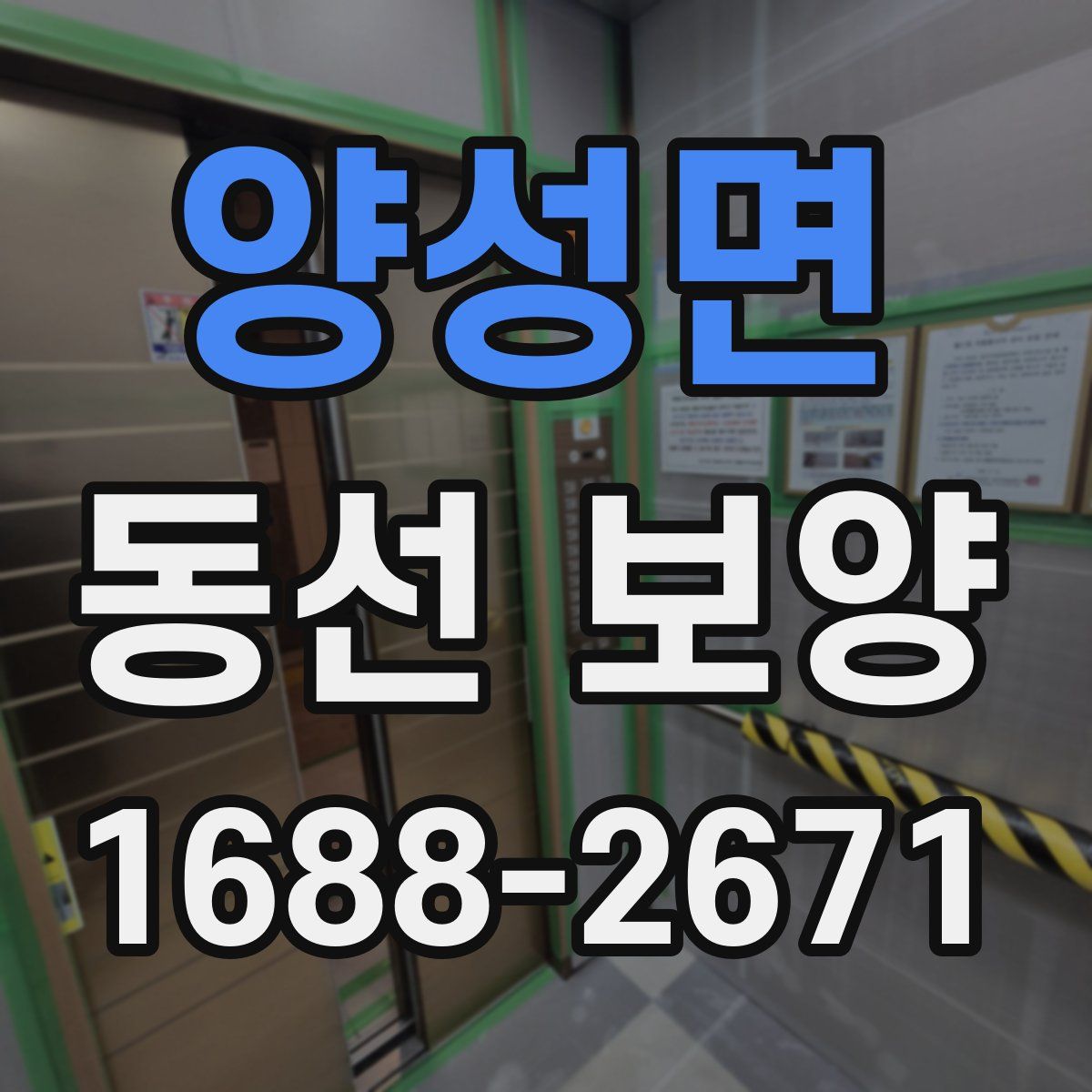 양성면 동선 보양