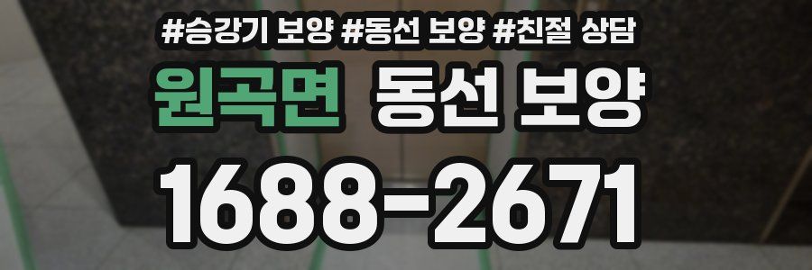 원곡면 동선 보양