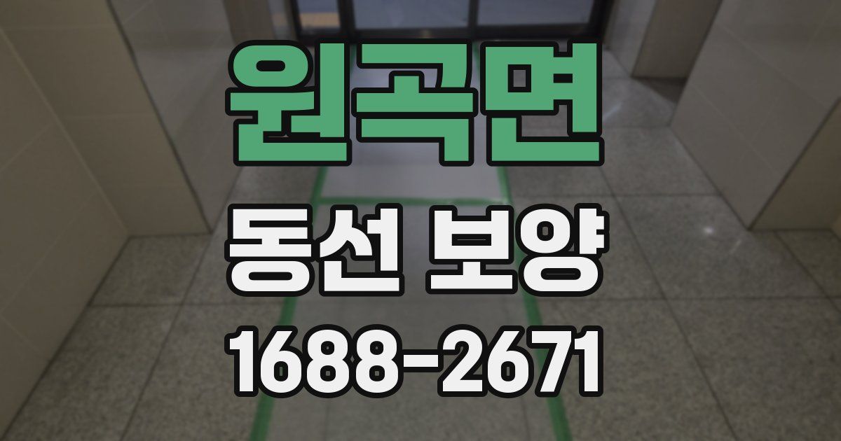 원곡면 동선 보양