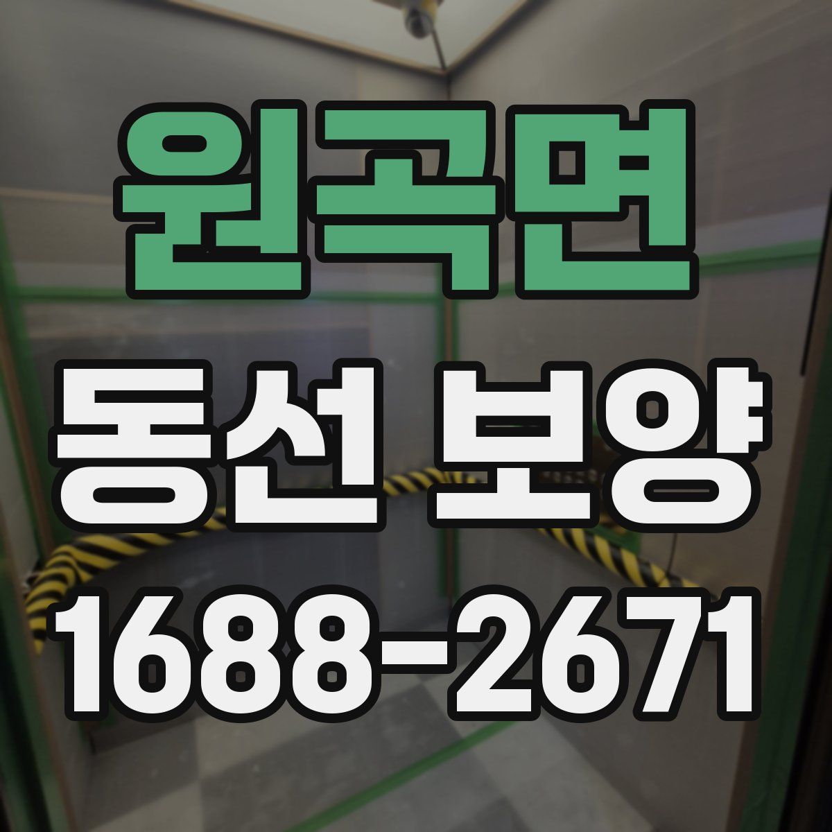 원곡면 동선 보양