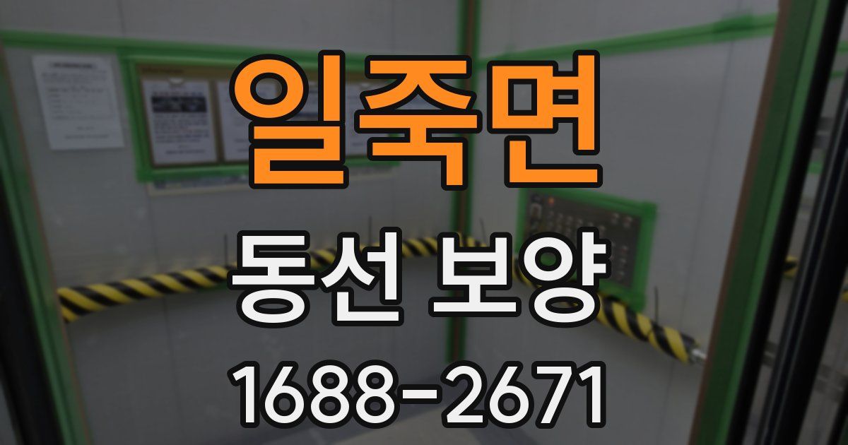 일죽면 동선 보양