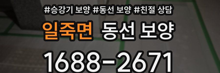 일죽면 동선 보양