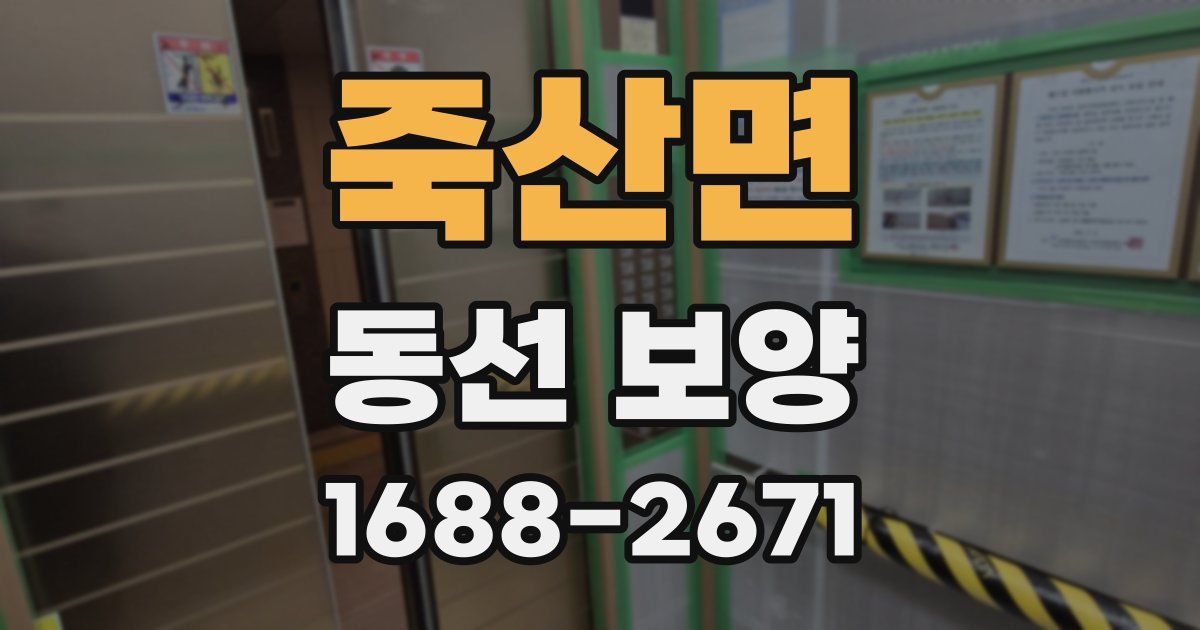 죽산면 동선 보양