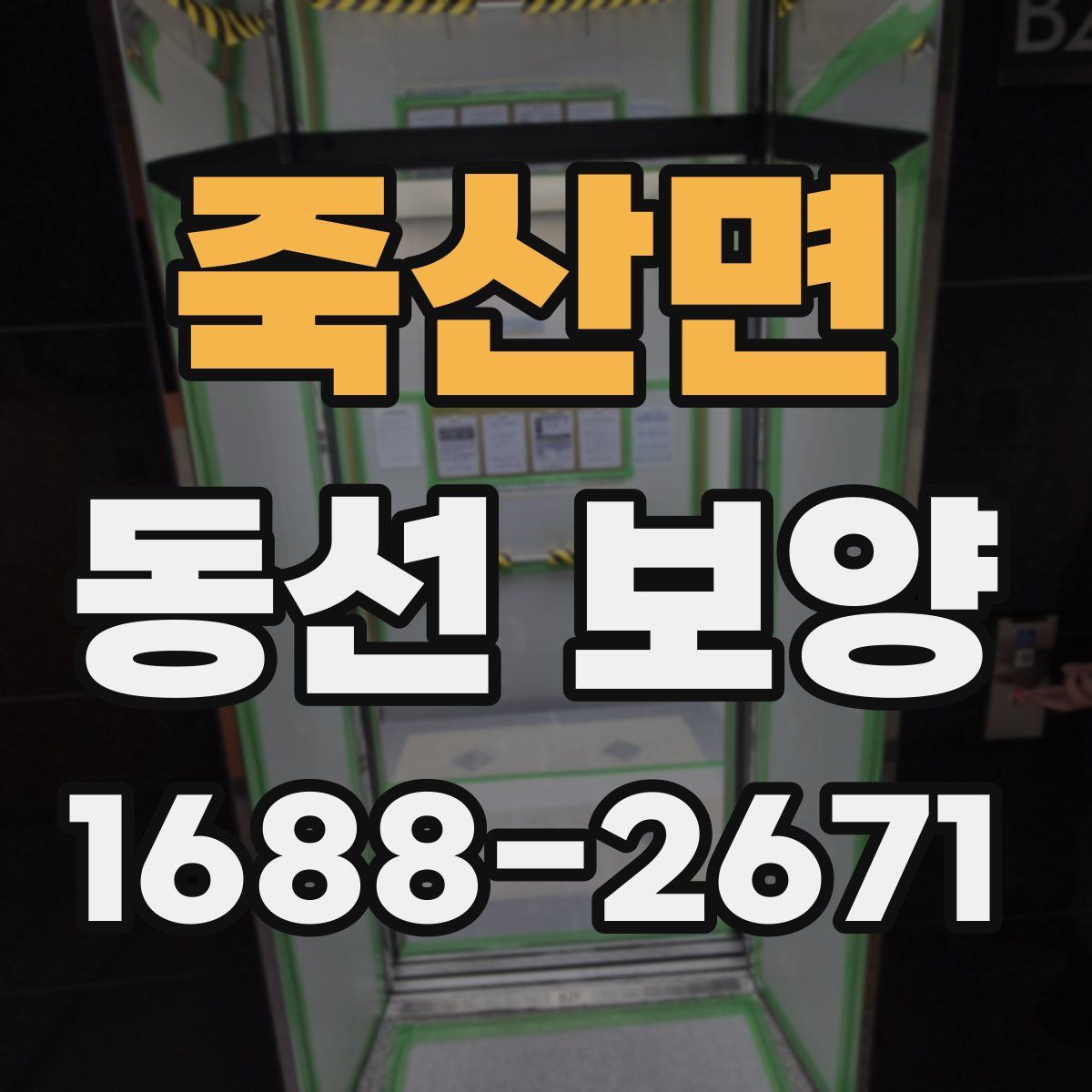 죽산면 동선 보양