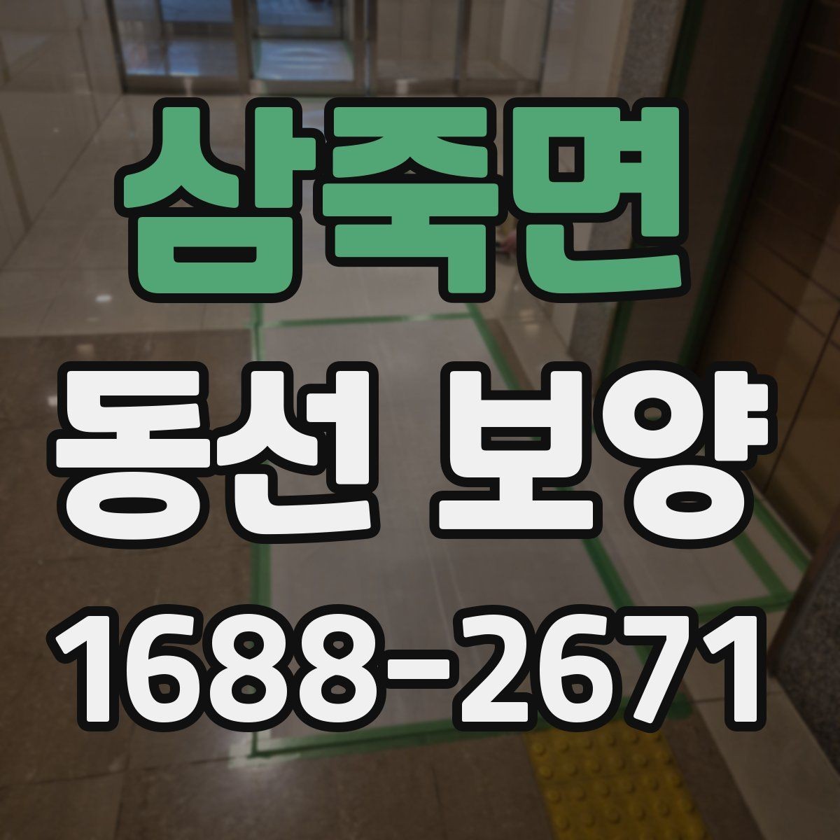삼죽면 동선 보양 작업이 필요한 이유와 작업 흐름