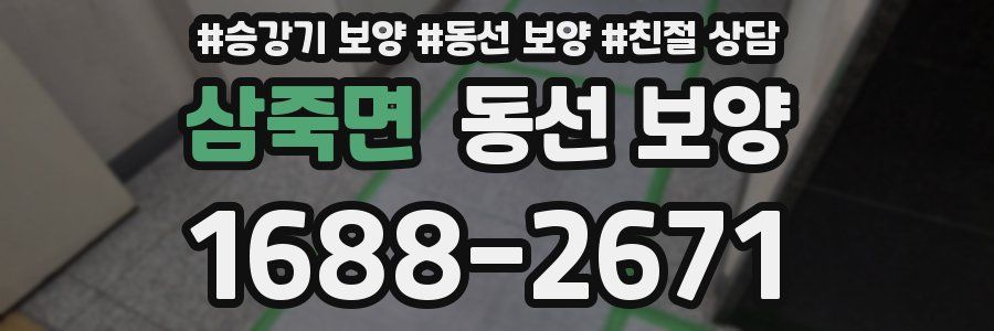 삼죽면 동선 보양
