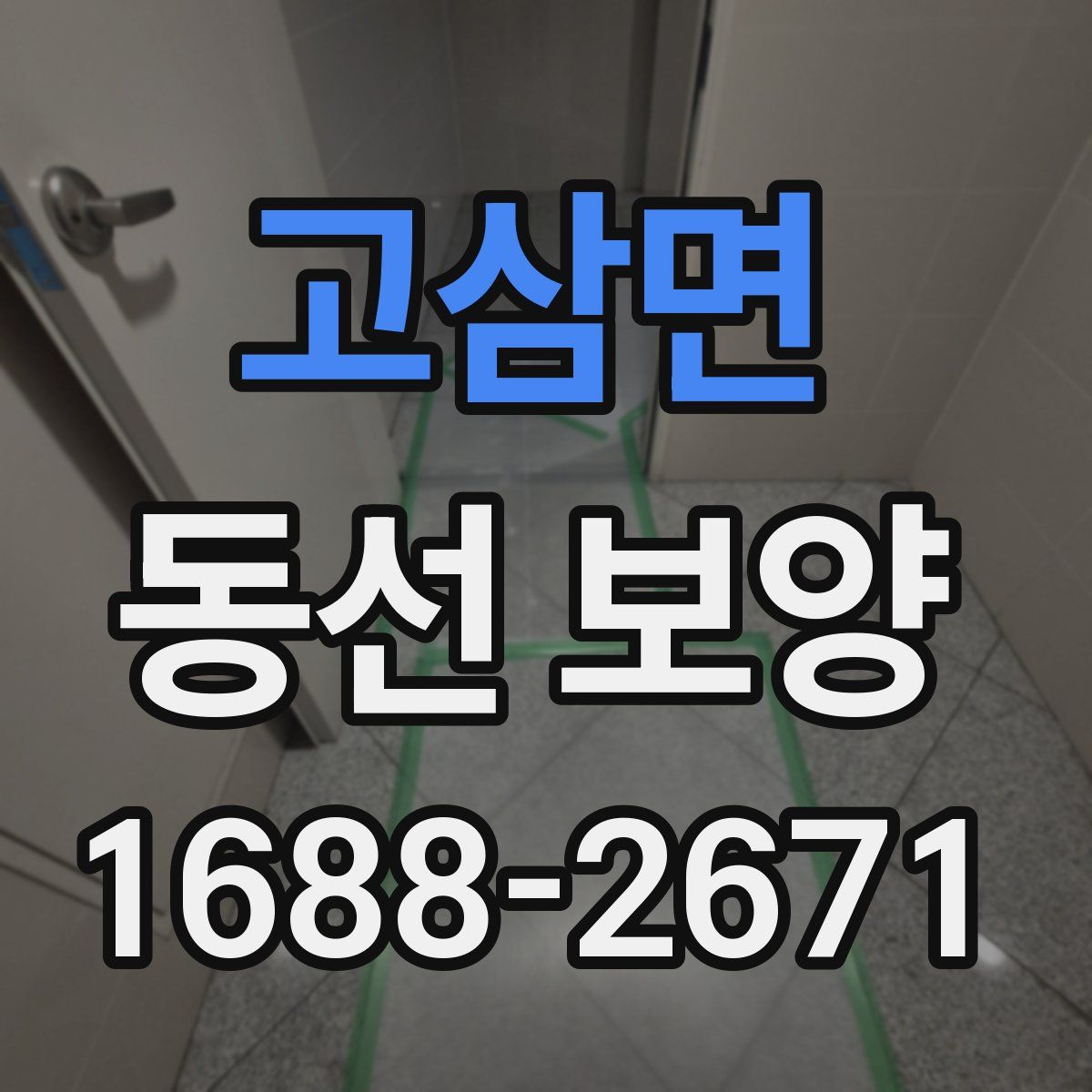 고삼면 동선 보양