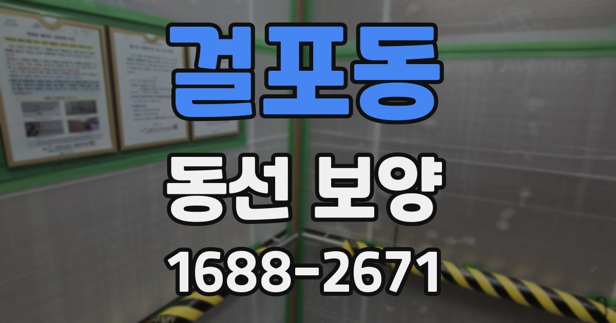 걸포동 동선 보양