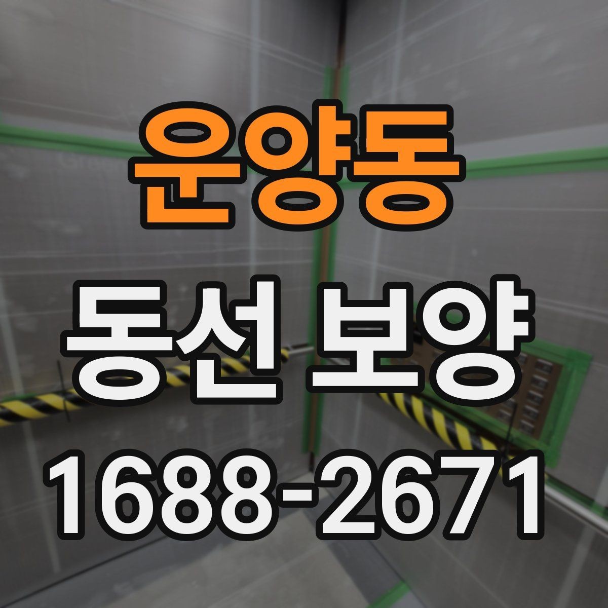 운양동 동선 보양 작업 순서와 준비 단계