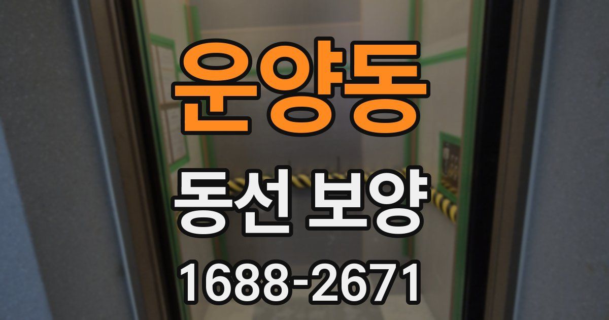 운양동 동선 보양