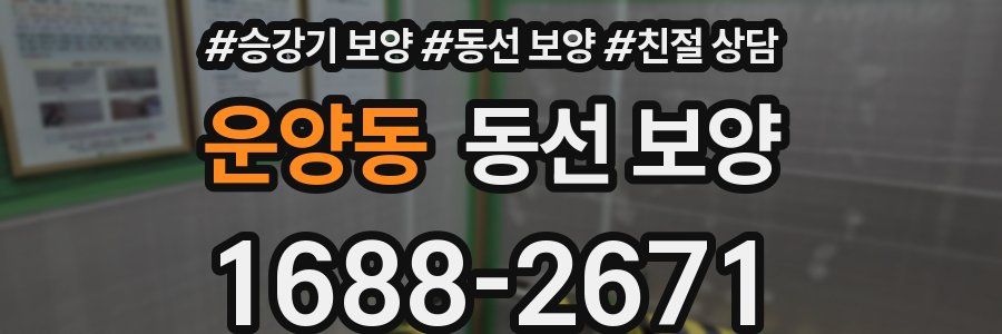 운양동 동선 보양