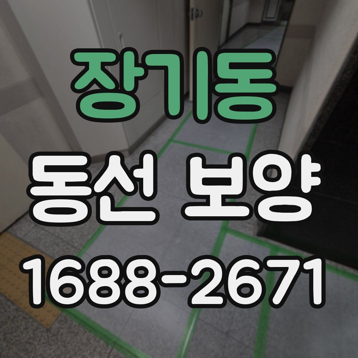 장기동 동선 보양 진행 전 협의해야 할 사항