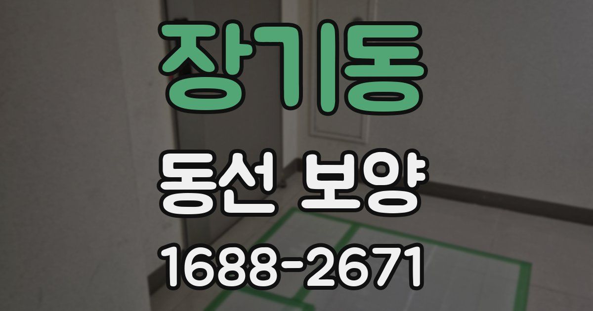 장기동 동선 보양