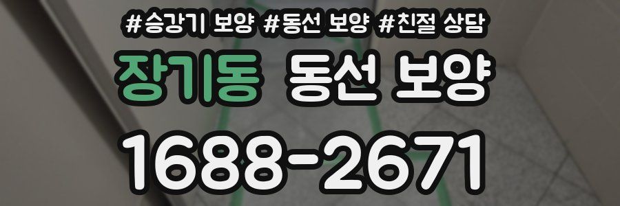 장기동 동선 보양