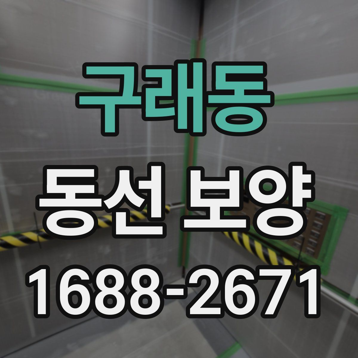 구래동 동선 보양