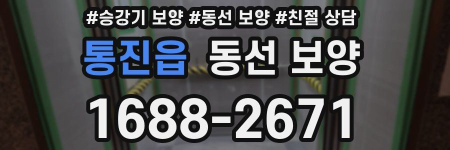 통진읍 동선 보양