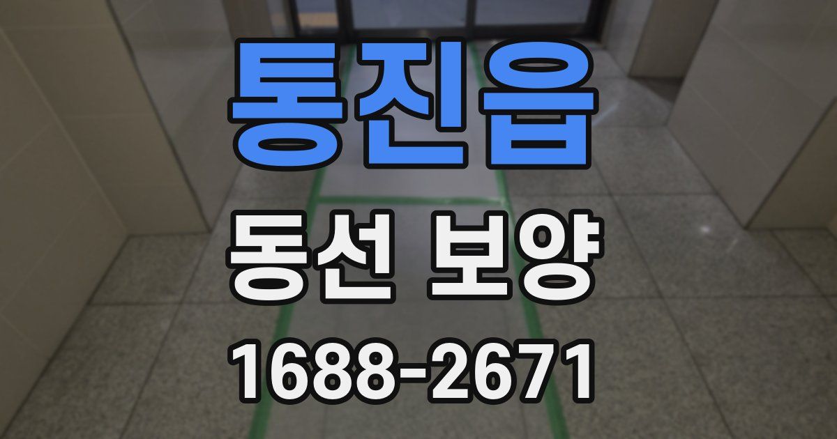 통진읍 동선 보양