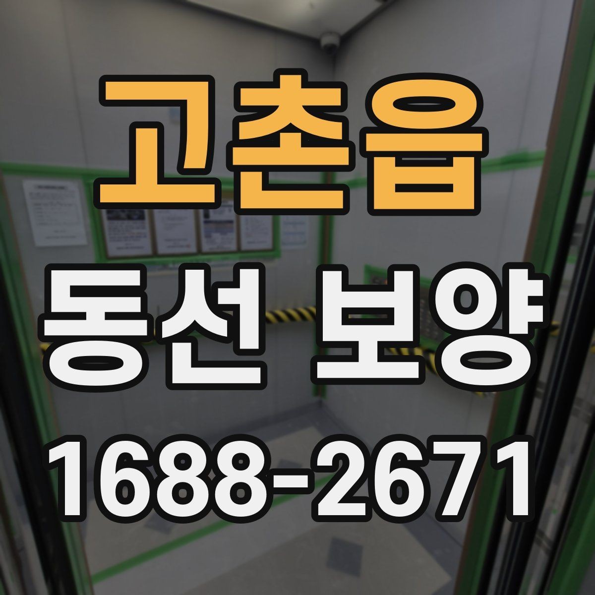 고촌읍 동선 보양 후 안전 관리까지 챙겨야 하는 이유