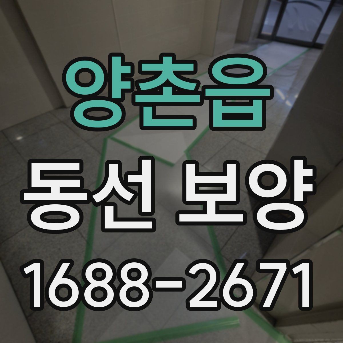 양촌읍 동선 보양 비용을 절감할 때 주의할 점