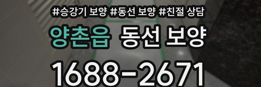 양촌읍 동선 보양