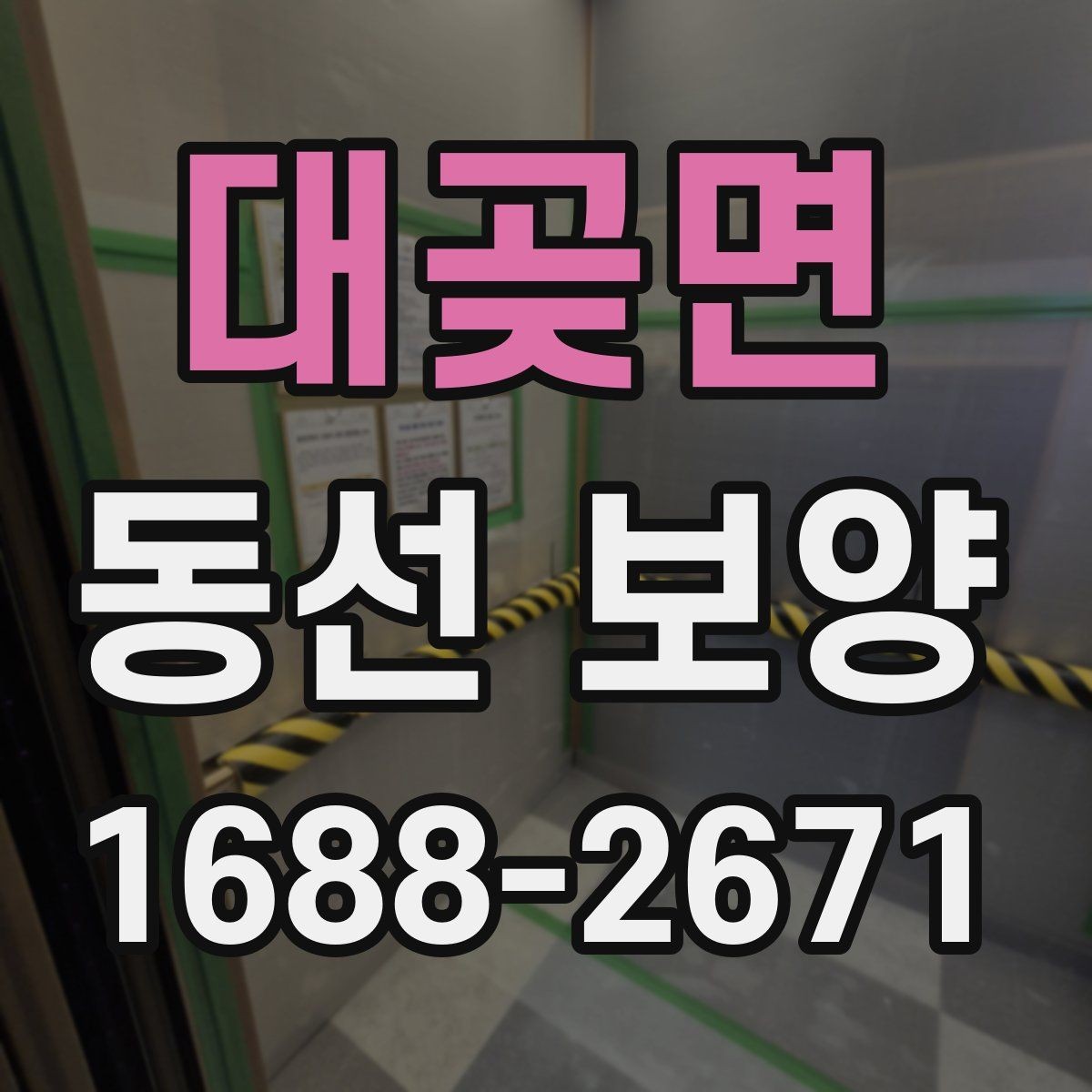대곶면 동선 보양 방법을 상황별로 나누어 보기