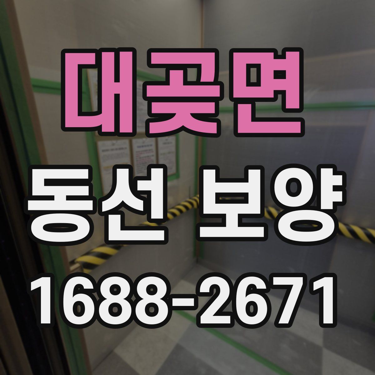 대곶면 동선 보양