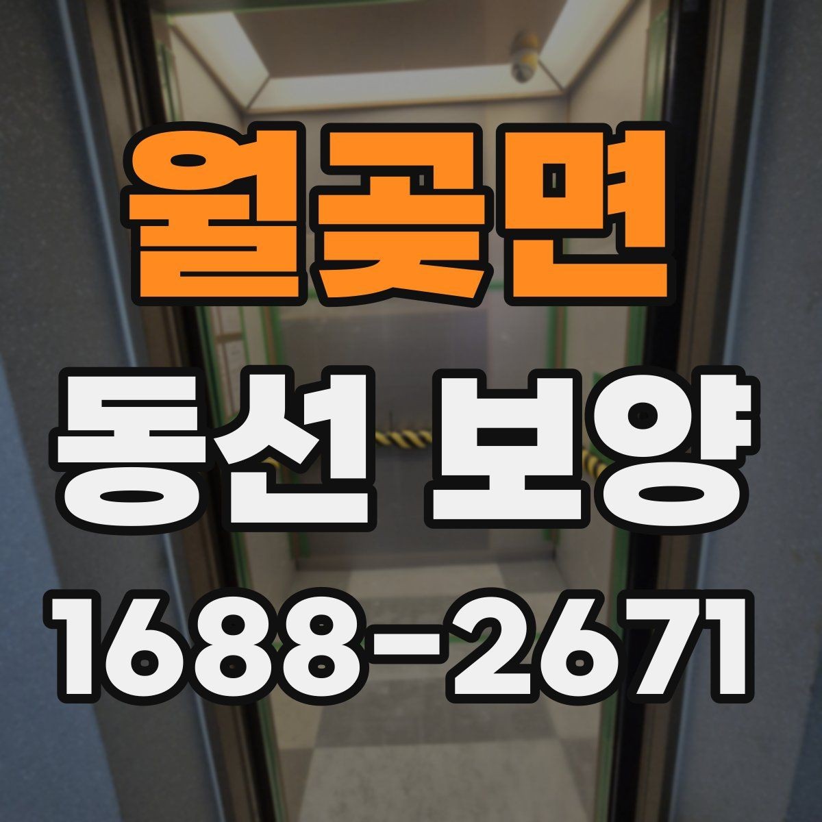 월곶면 동선 보양 작업 범위와 현장 조건을 함께 보는 이유