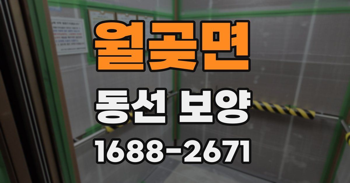 월곶면 동선 보양