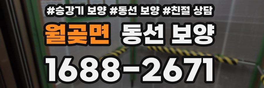 월곶면 동선 보양