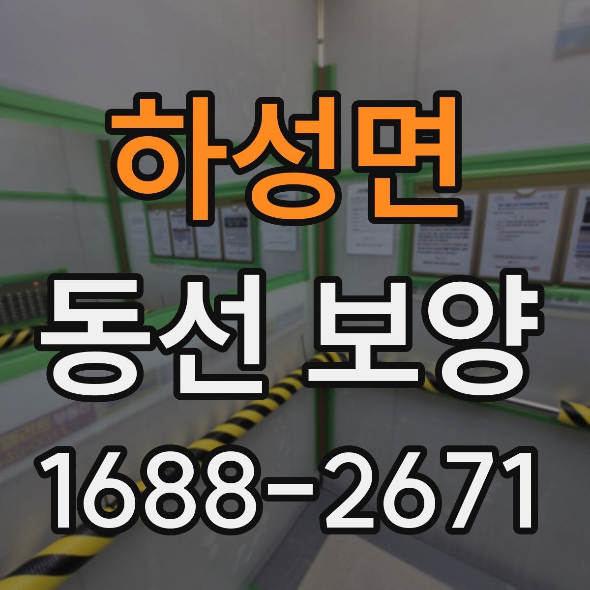 하성면 동선 보양 업체 선정 시 확인할 실무 포인트