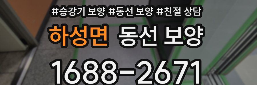 하성면 동선 보양