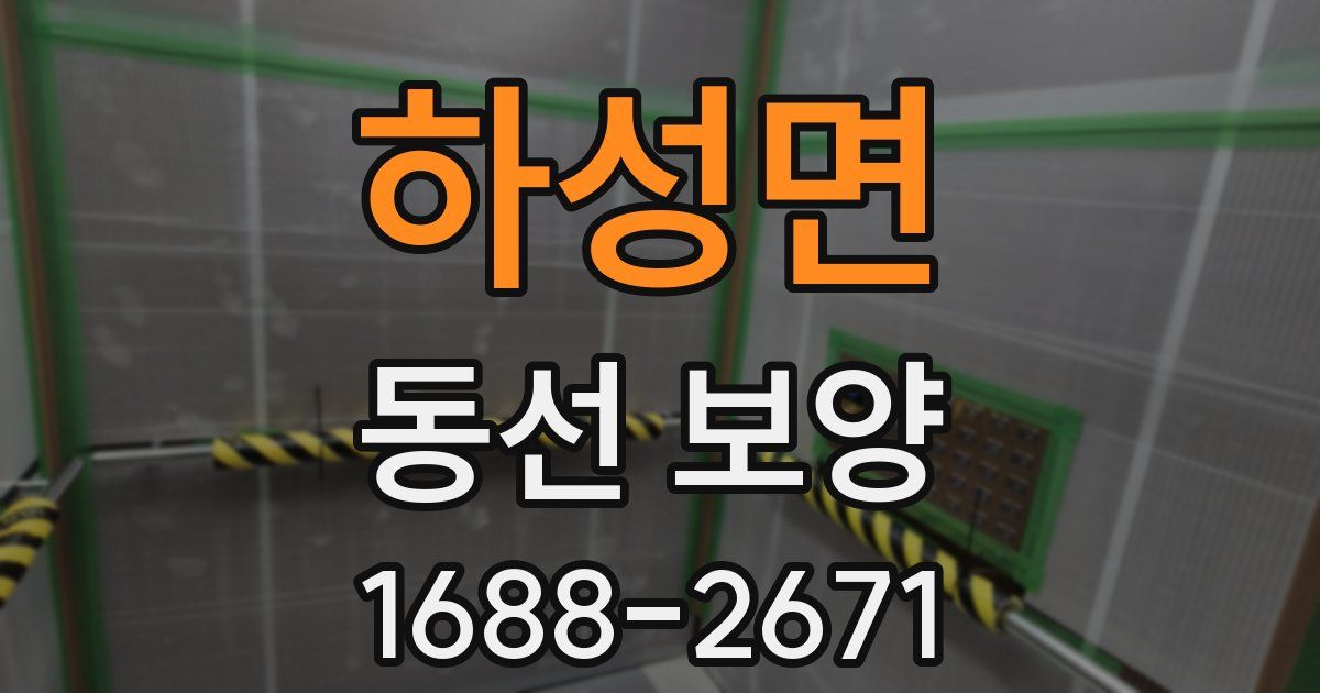 하성면 동선 보양