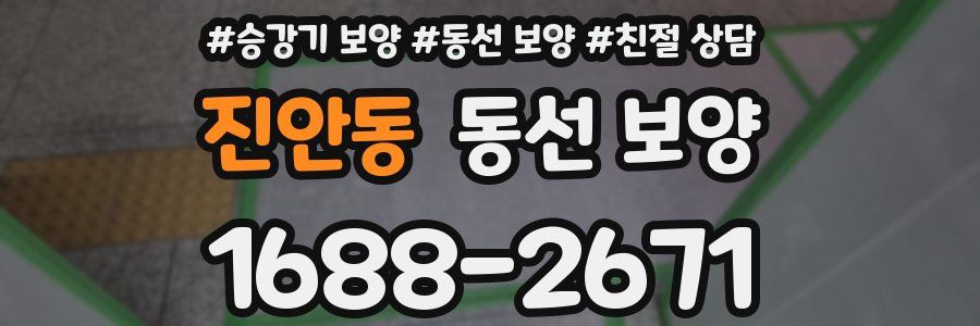 진안동 동선 보양