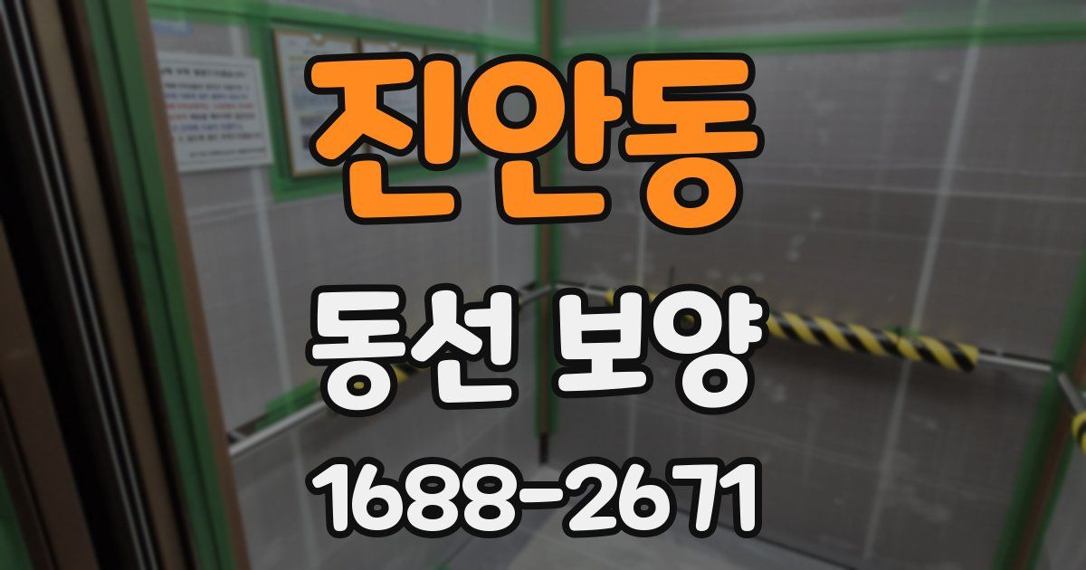 진안동 동선 보양