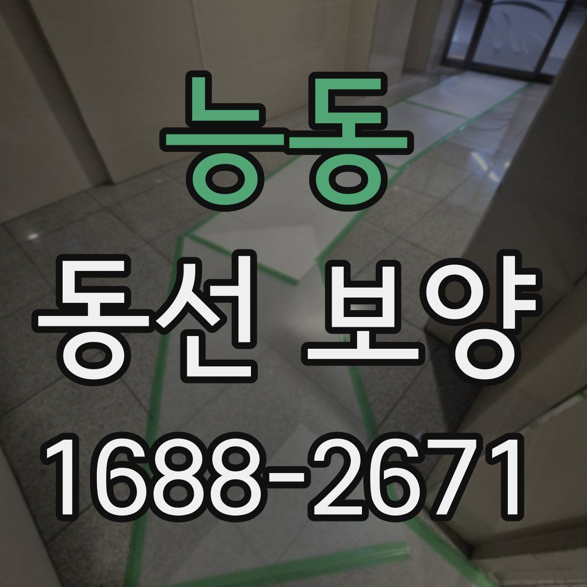 능동 동선 보양 실수 줄이는 현장 관리법