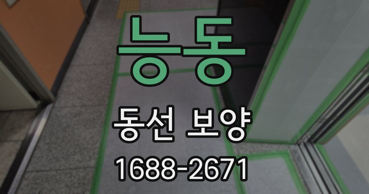 능동 동선 보양