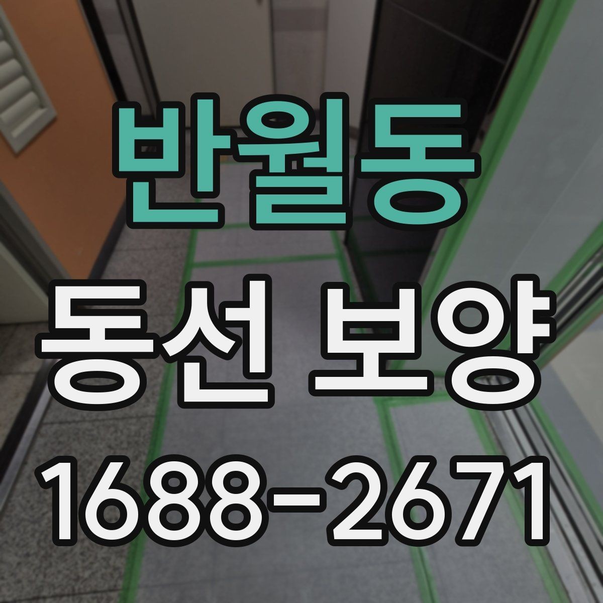 반월동 동선 보양 자재별 특징과 활용 방법