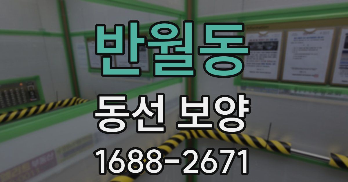 반월동 동선 보양