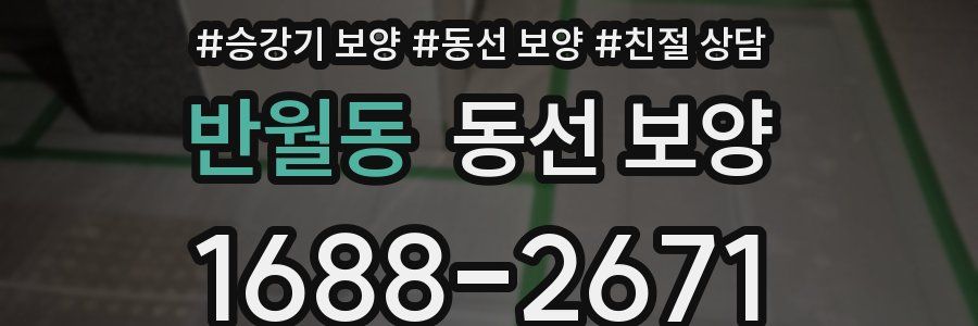 반월동 동선 보양
