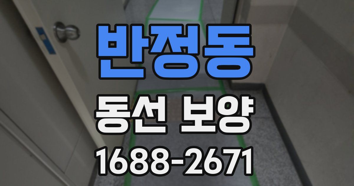 반정동 동선 보양