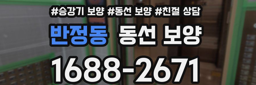 반정동 동선 보양