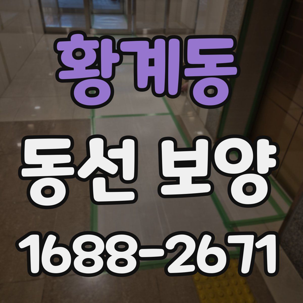 황계동 동선 보양