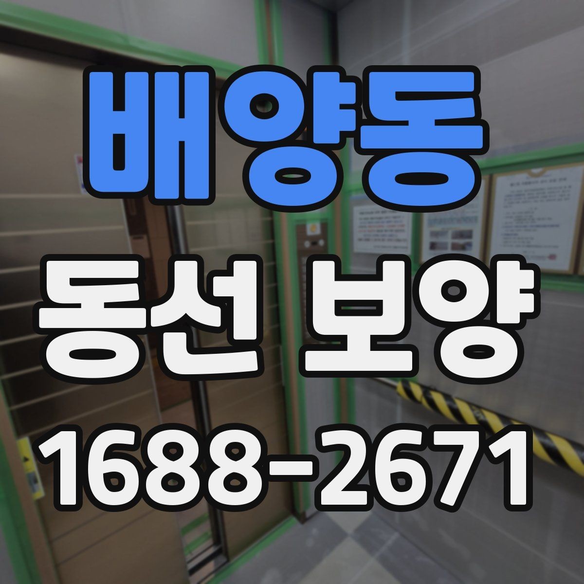 배양동 동선 보양 작업을 간편하게 준비하는 방법