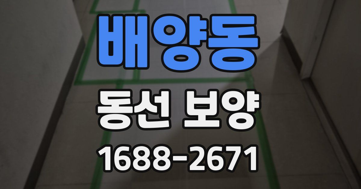 배양동 동선 보양